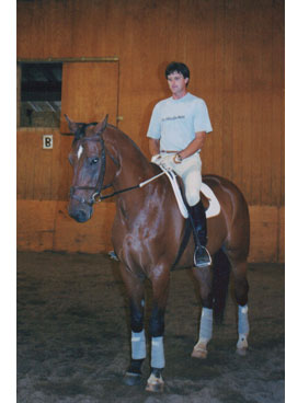 equestrian arena photo
