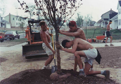 photo of planting a tree