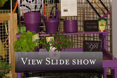 click to view slide show