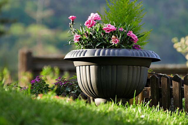 Soil Moist helps container plants.