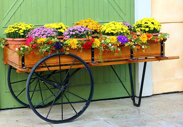 Planters in a cart