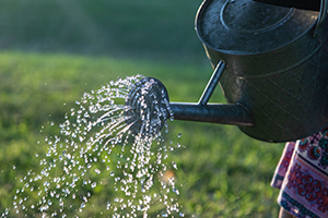 Watering Can