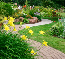 image of a landscaped garden