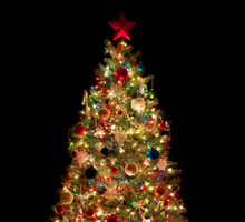 Christmas tree photo