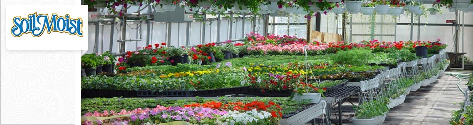 palettes of flowers inside a greenhouse