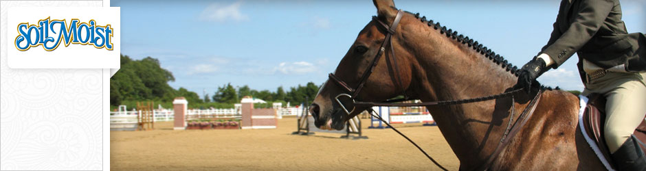 equestrian rider