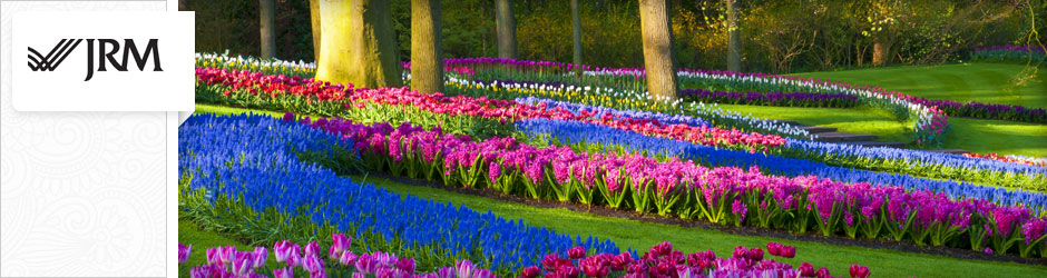 flowers in a park