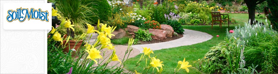 flowers in a park