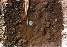 photo of soil treated with FI-2000