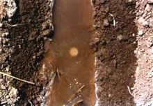 photo of untreated soil