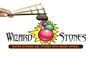 wizard-stones