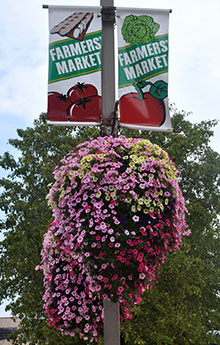 hanging flower basket with Soil Moist Mats