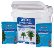 photo of Soil Moist Transplant pail